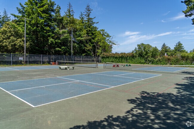 Pickleball players can enjoy a game on the courts at Buffington Memorial Park in Port Orford.
