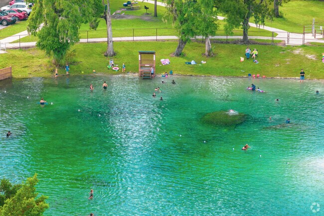 Well-known for its natural spring FishHawk offers a great spot for swimming.