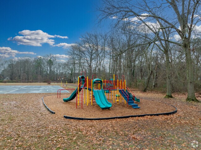 Sedgefield Elementary School
Sedgefield Elementary School
Public Pre-K & Elementary School
Carve