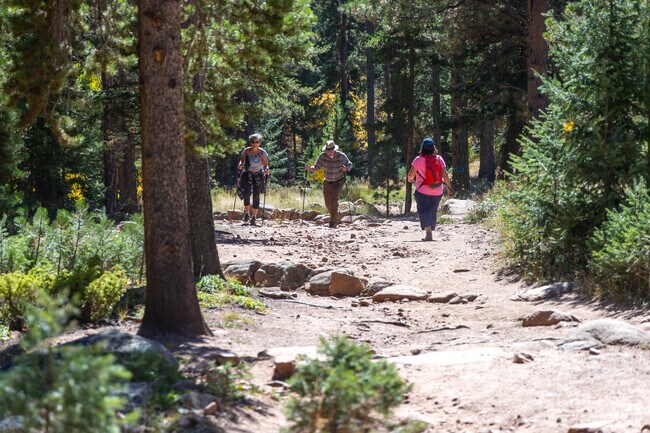 Enjoy an afternoon hike at Staunton State Park near Pine Junction Area.
