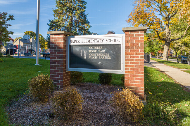 Naper Elementary School serves 233  K-4 students in downtown Naperville, IL.