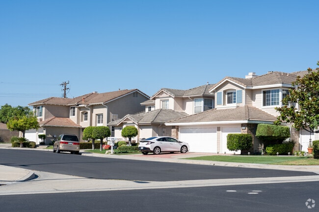 Most homes in Collins have easy to maintain front lawns.