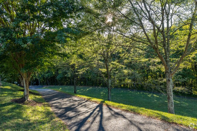 Enjoy a refreshing walk through Agnewvile's trails, a haven for nature enthusiast.