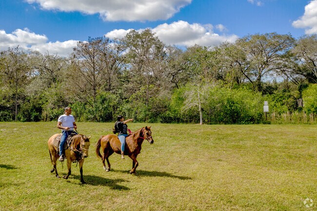 Hore back riding is a fun activity near the Shenandoah neighborhood of Davie, FL.