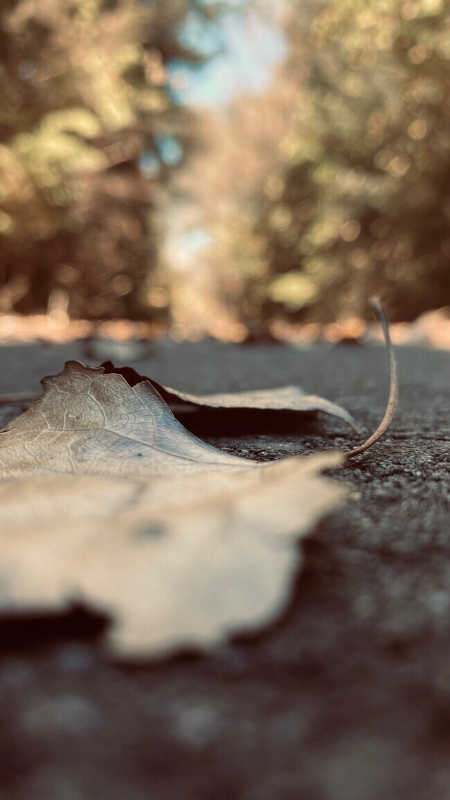 4141 S Seneca St, Wichita, KS 67217