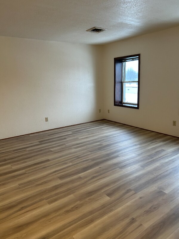 215 Main St N unit Apartment 1, Minnesota Lake, MN 56068 - photo 4