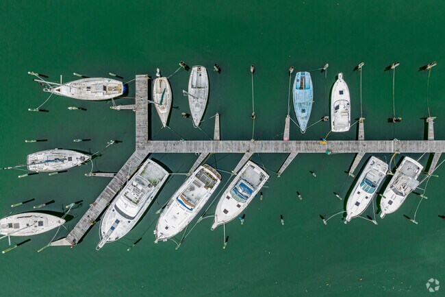 Thomas Marina in Seaford houses many boats for residents within the community.