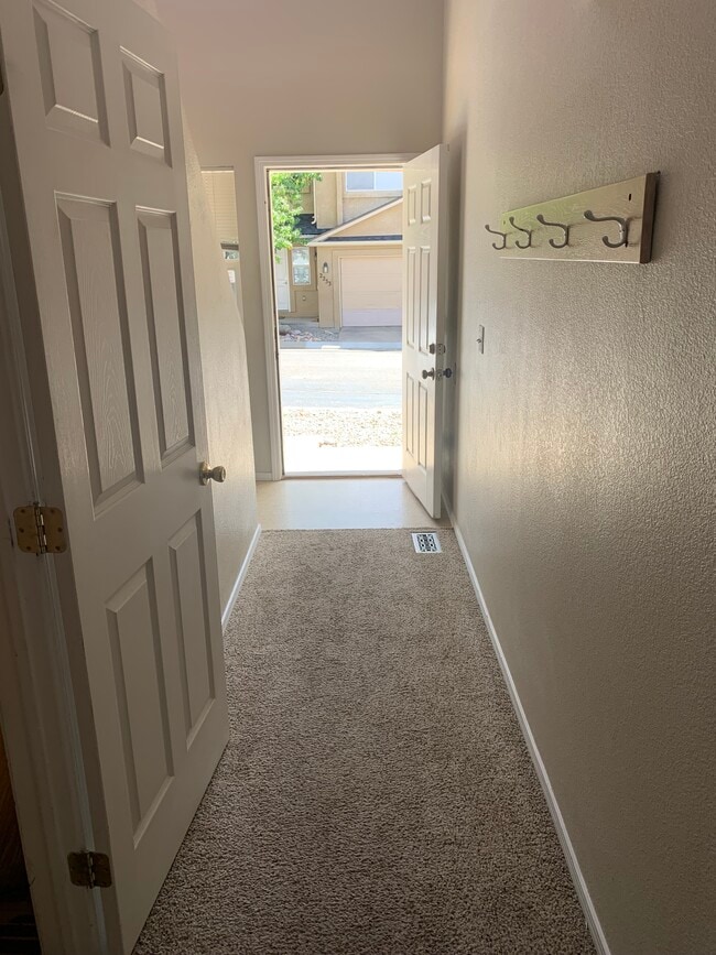 Entry & basement door