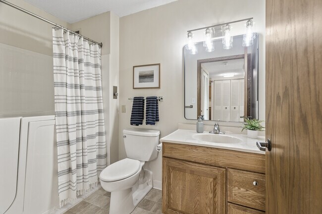 Bathroom with walk in tub for those with mobility issues