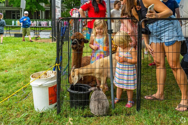 Kids can enjoy a small petting zoo which has several types of animals at the Peach Festival.