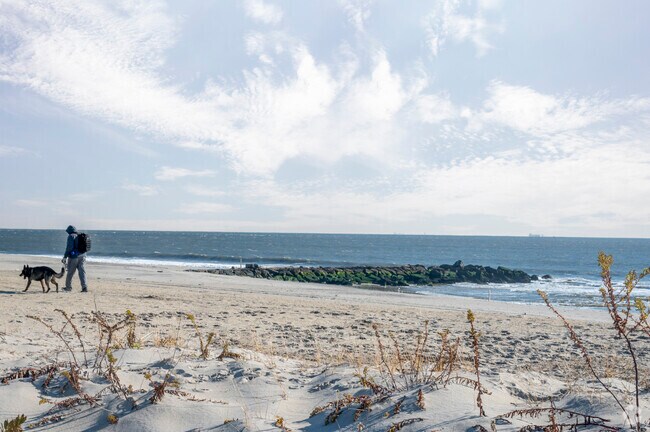 The beaches in Edgemere allow dog walking along the beach and boardwalk in the off season.