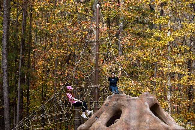 Caney Creek Preserve offers climbing and other adventures.