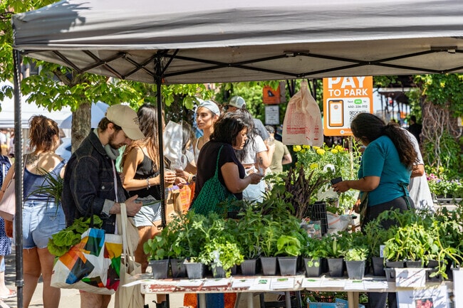 Bedford Place residents shop local vendors at The Old Market Farmers Market in downtown Omaha.