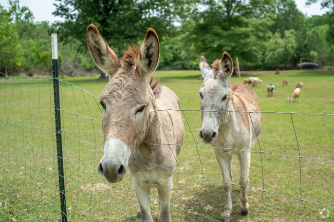 Enjoy a mix of farm and suburban lifestyles when you are in McCalla.