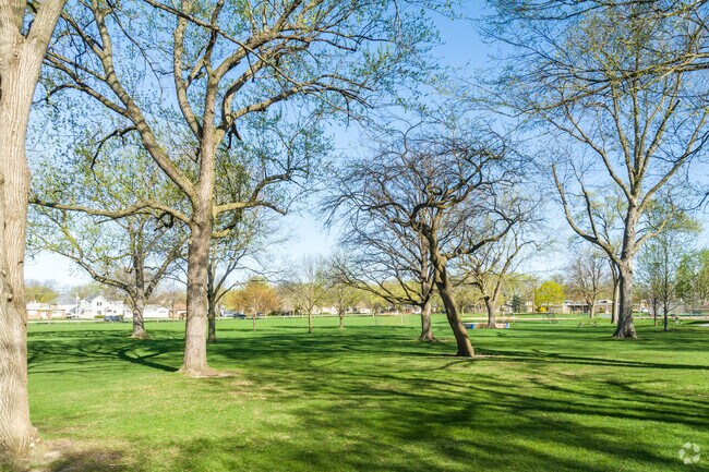 Trees Creating a Shaded Area in Springdale Park Located in Springdale.