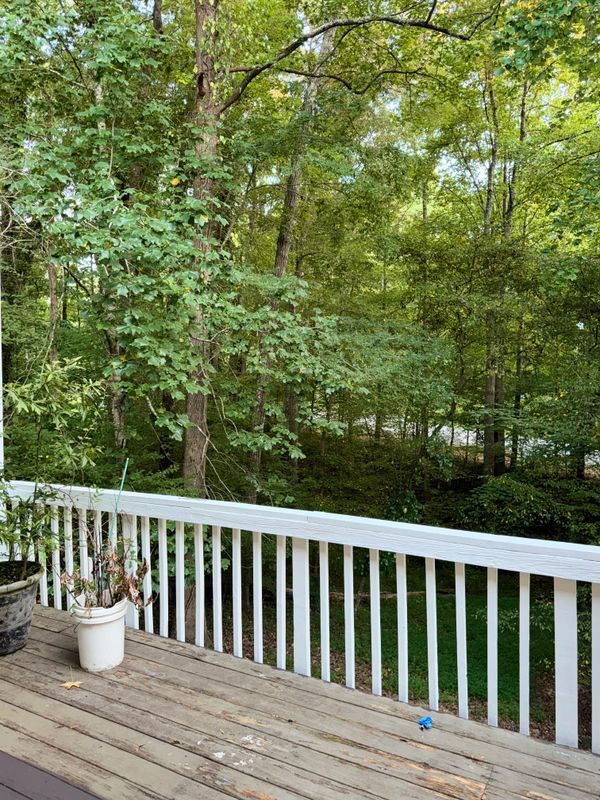 4650 Kousa Ln, Snellville, GA 30039 - photo 7