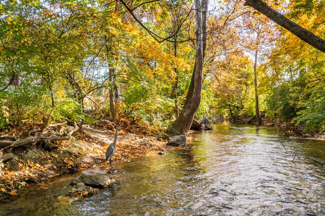 Picturesque creeks wind through many residential areas of Bethlehem.