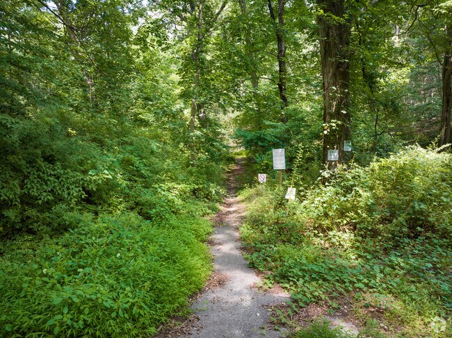 Fox Hollow Preserve provides scenic hiking routes amid Laurel Hollow’s forested landscape.