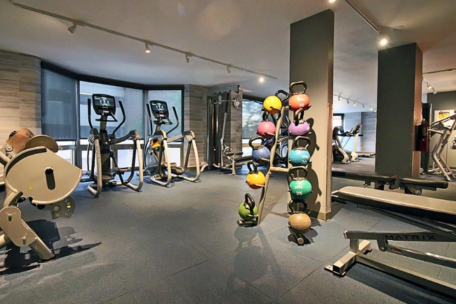 1130 E Cedar St, Chicago, IL 60610 - photo 6