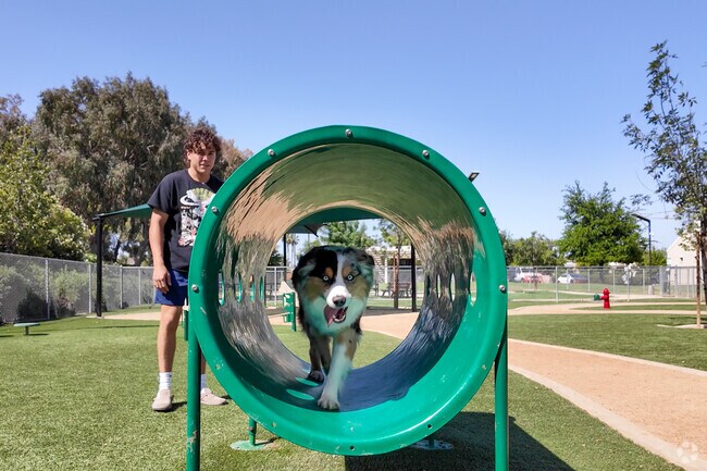 Canyon Cove residents can spend time with their dogs at East Port Dog Park.