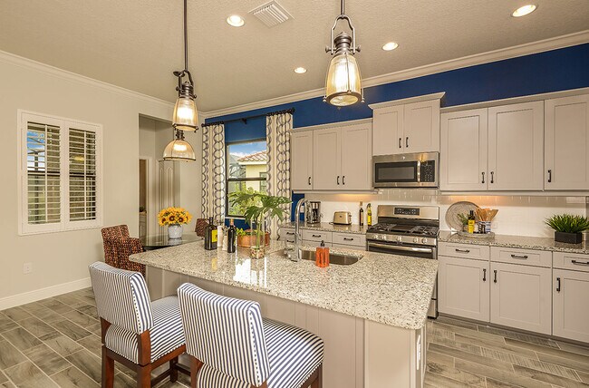 10025 Hammock Brook Dr unit 36503312, Parrish, FL 34219 - photo 5