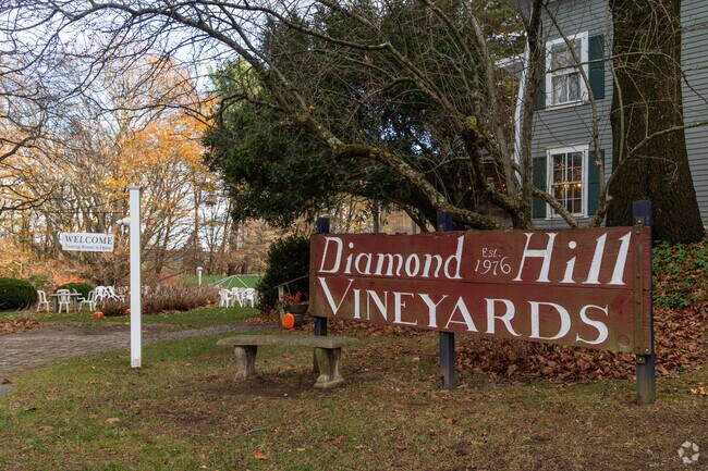 Visit Diamond Hill Vineyards Arnold Mills