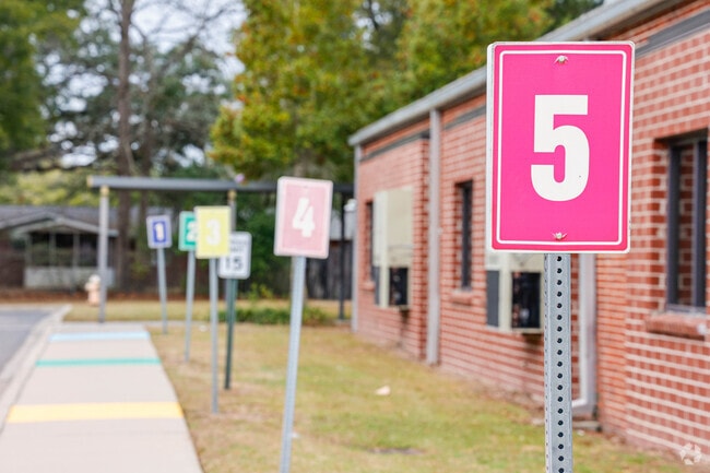 Hunley Park buses line up for the children in a numerical order.