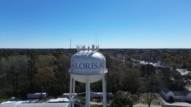 7382 Meadow St, Loris, SC 29569 - photo 4