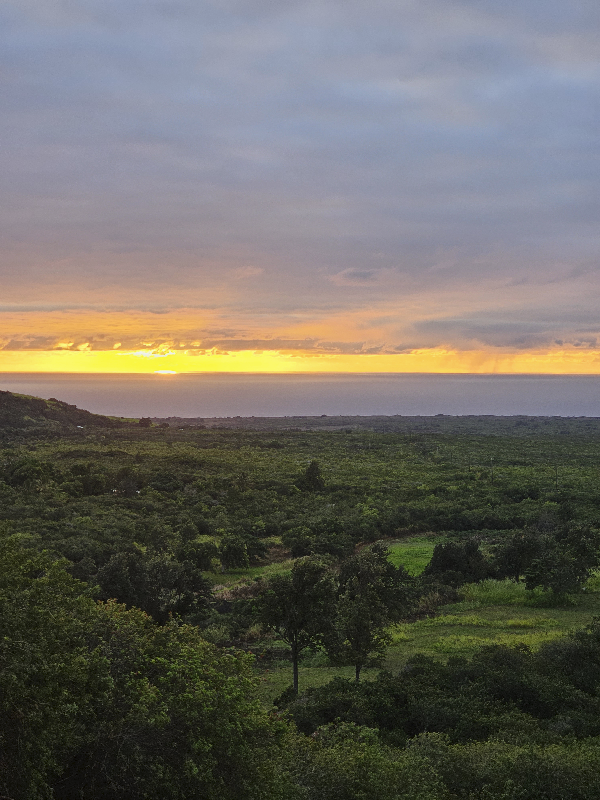 94-6273-6273 Mamalahoa Hwy, Naalehu, HI 96772