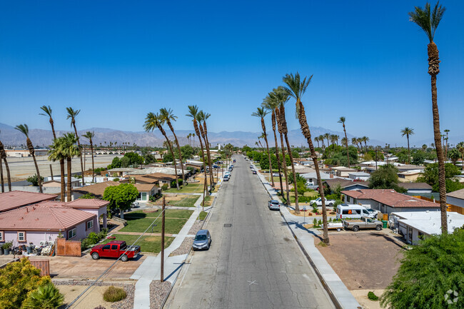 Residential streets in Indio have palm trees scattered throughout.