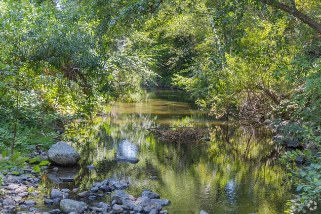 The Napa River runs through downtown Calistoga and carries beautiful fresh water through the heart of wine country.