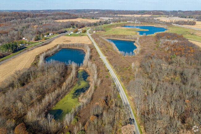 Visit the Big Beaver Wetlands in New Galilee, home to over 100 species of birds.
