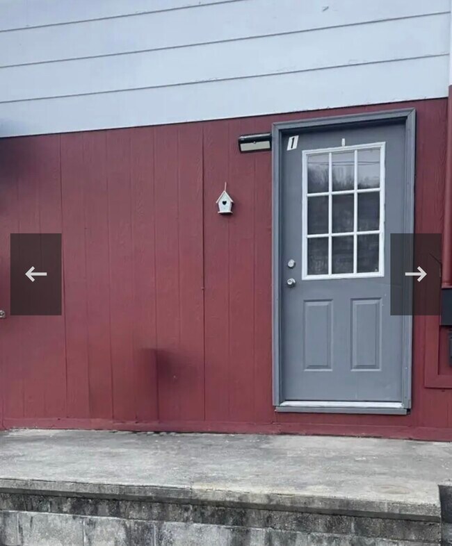 309 Plum St unit 1, Proctor, WV 26055 - photo 3