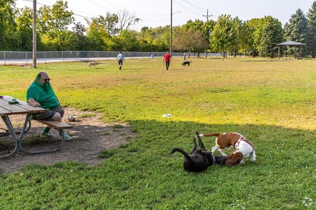 These two best friends love going to Nelson Dog Park near Hickory Ridge.