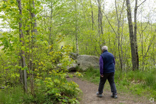 The Millstone Hill Conservation Area is a popular spot to go bird watching or hiking in Manchester by the Sea.