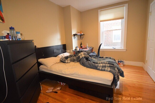 328 Saint Paul St unit 2, Brookline, MA 02446 - photo 6