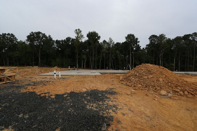 8001 Mint Whisper Way, Apex, NC 27523 - photo 7