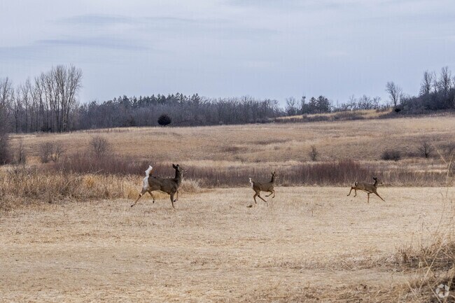 Wildlife can be spotted in River Bend Nature Center.