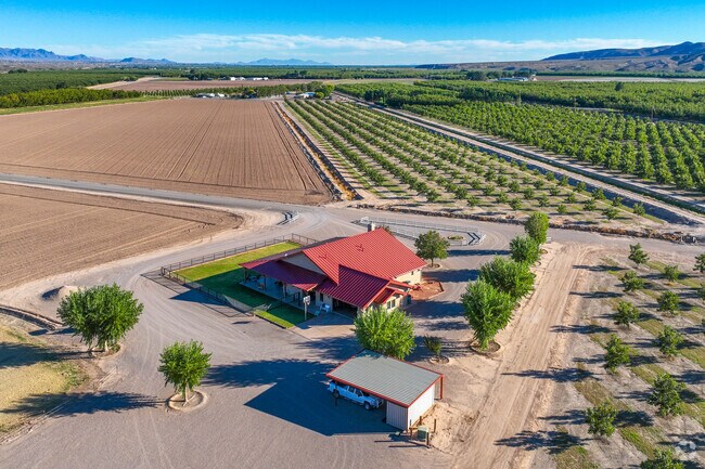 Radium Springs features many beauftul Ranch homes with perfect rows of trees and farms.