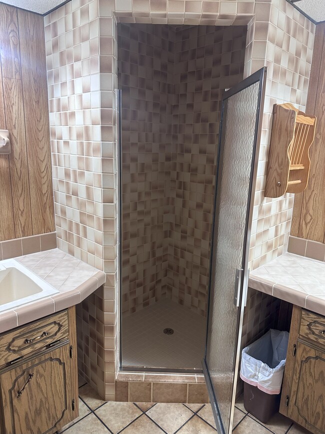 2nd bath shower