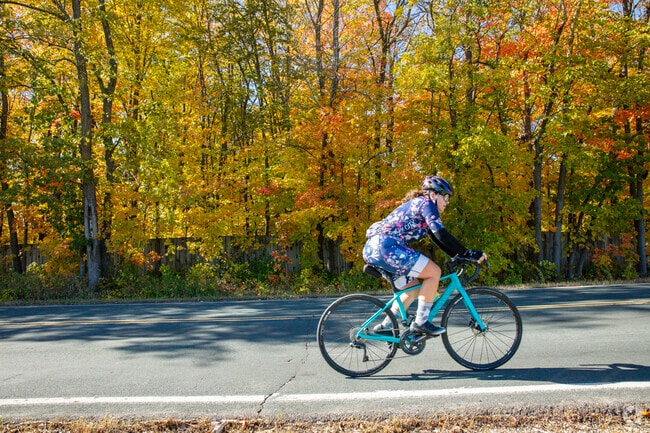 A biker cruises past beautiful fall foliage in Medina, MN.
