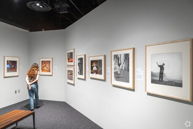 Enjoy the art at the Ellen Noel Art Museum located near Briarwood.