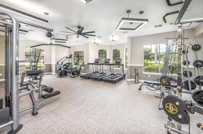 MacAlpine Place, Dunedin, FL 34698 - photo 5