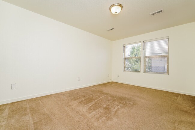 20009 Elgin Dr, Denver, CO 80249 - photo 6