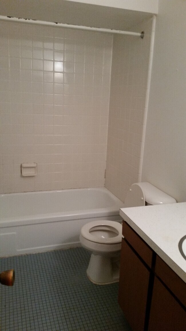 1130 S Forest Ave unit 2, Ann Arbor, MI 48104 - photo 5