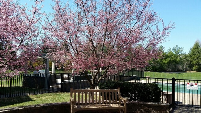 Spring Creek Apartments, Macungie, PA 18062 - photo 7