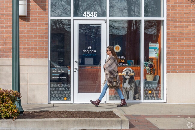 Dog owners enthusiastically take their furry friends to Dogtopia near Bayside for a day of play.