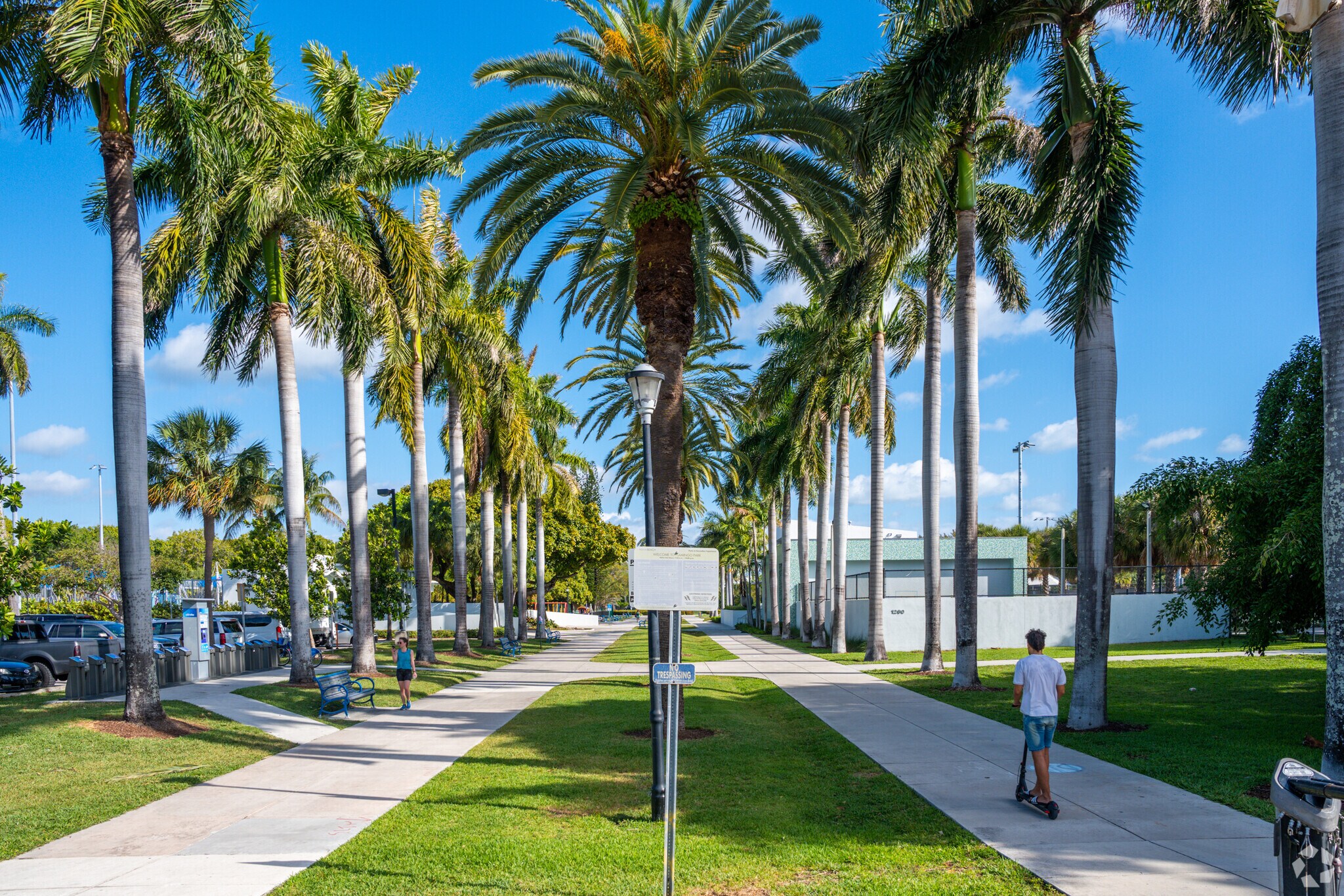 About Flamingo | Schools, Demographics, Things to Do - Homes.com