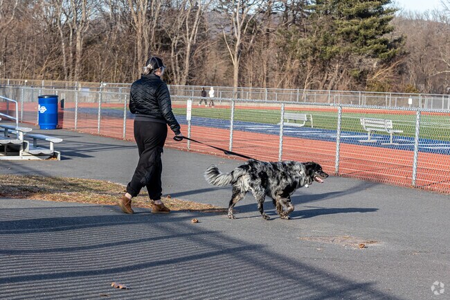 Plainville residents have plenty of parks to walk their dogs.