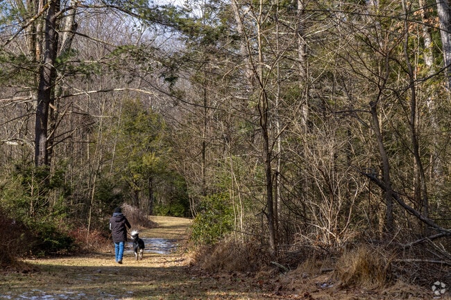 Take the dogs on a long walk through the trails at Zindel Park.